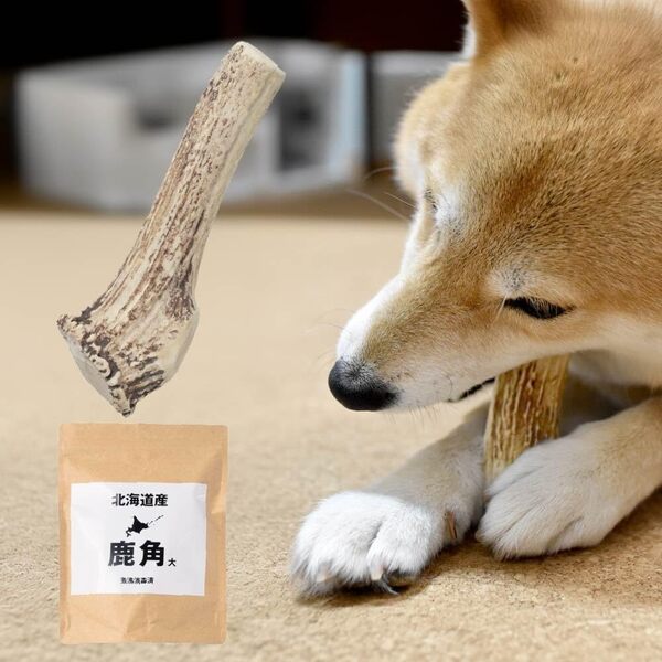 鹿角 犬 エゾシカ 北海道 大サイズ(超大型~大型犬に)18cm以上 北海道産 天然 無添加 蝦夷鹿の角