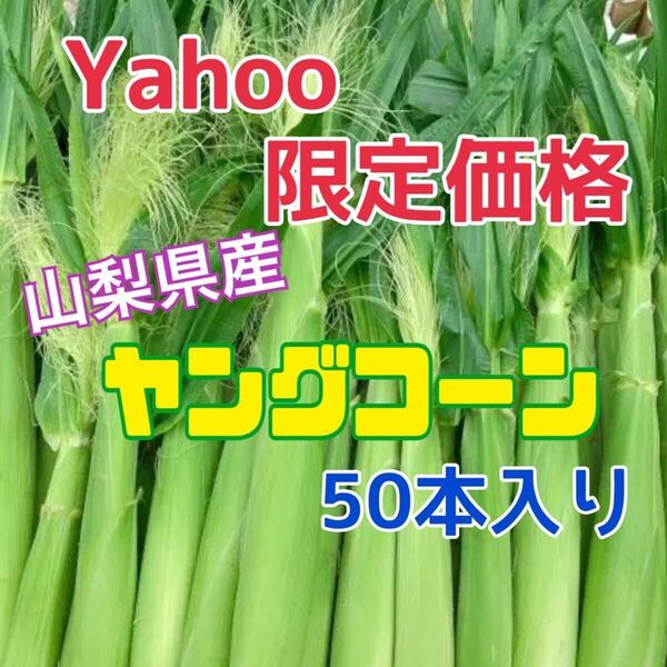 y5-31 山梨県産 ヤングコーン ベビーコーン 新鮮 50本入り とうもろこし