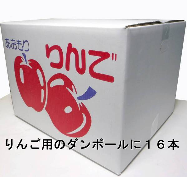 ★りんごジュース★葉とらず紅玉100%★1L16本★送料無料★農家直送★青森県産★