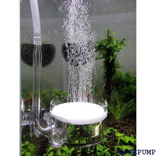 ディフューザー CO2拡散器・ビートル風 ガラス製 直径4センチ - 90〜120cmサイズの水槽用 14331