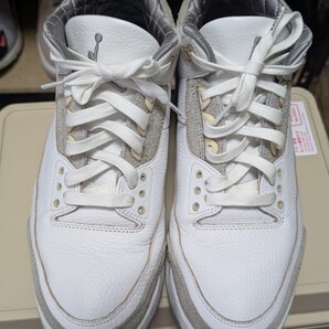 28cm NIKE エアジョーダン3 アママニエール JORDAN