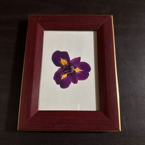 フォトフレーム