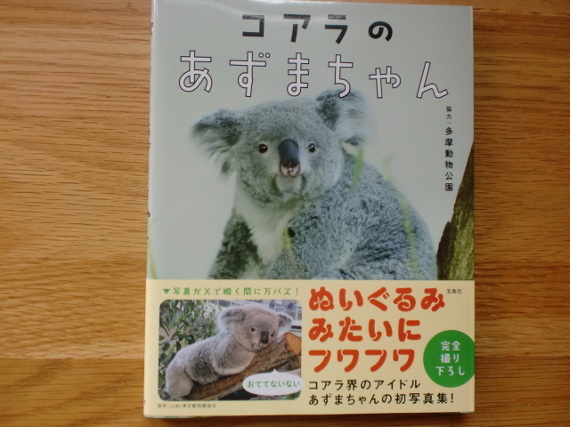 多摩動物公園 コアラ初来園記念・鋳物レリーフ(西大由 作)非売品
