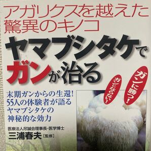 ヤマブシタケでガンが治る アガリクスを越えた驚異のキノコ 末期ガンからの生還!55人の体験者が語るヤマブシタケの神秘的な効力