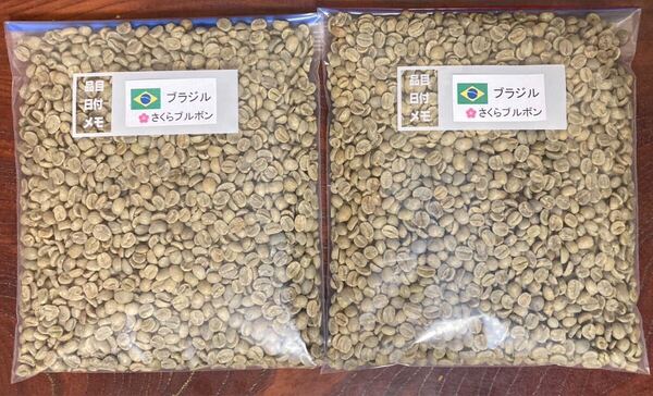 コーヒー生豆さくらブルボン800g
