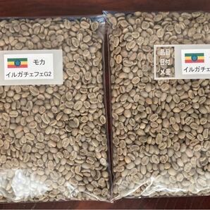 珈琲生豆 モカイルガチァフェG2 800g