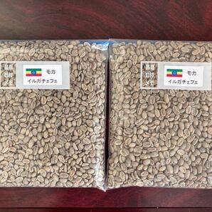 コーヒー生豆 モカイルガチァフェG1 800g