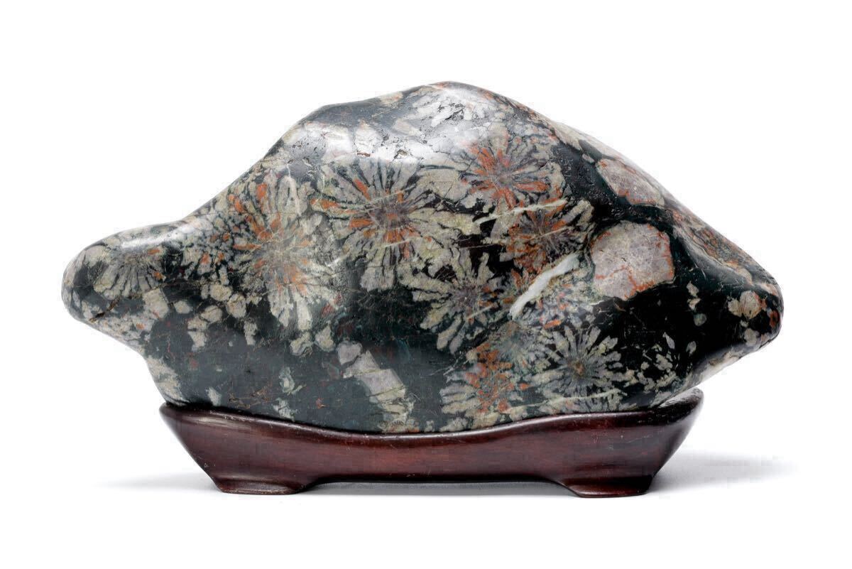 2025年最新】Yahoo!オークション -#菊花石の中古品・新品・未 2025年最新】Yahoo!オークション -#菊花石の中古品・新品・未