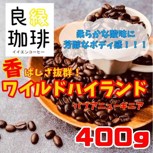 パプアニューギニア ワイルドハイランド 400g 自家焙煎 スペシャリティ コーヒー豆 珈琲豆 coffee bean