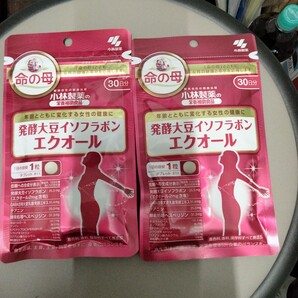 発酵大豆イソフラボン エクオール 2袋