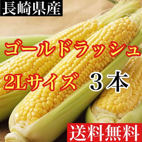 長崎県産 ゴールドラッシュ2Lサイズ3本 送料無料