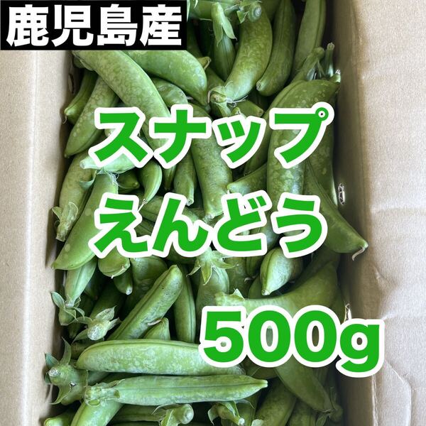 鹿児島産 訳あり品 スナップえんどう500g 送料無料