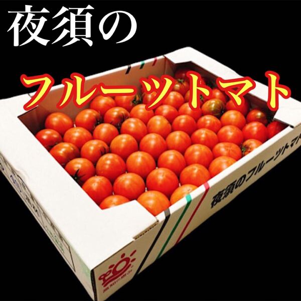 高知県産 夜須のフルーツトマト 12玉から20玉前後 コンパクトボックス送料無料