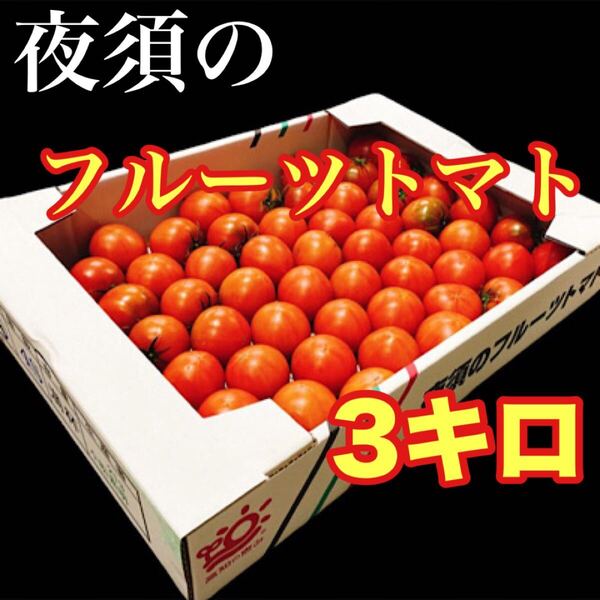 高知県産夜須のフルーツトマト 箱込み 3キロ 30玉から60玉入送料無料
