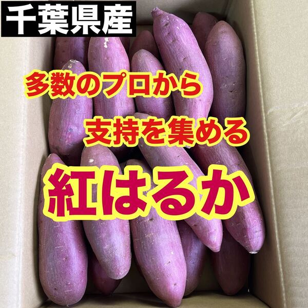 プロから支持を集める熟成紅はるか コンパクトボックス 1.2キロ 送料無料