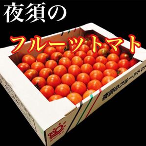 高知県産 夜須のフルーツトマト 12玉から20玉前後 コンパクトボックス送料無料