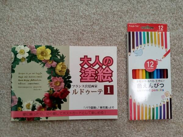 ★最後の1セット!★ ぬりえ ぬり絵【大人の塗り絵 フランス宮 洋画 1 & 色鉛筆 12色】花 フラワー バラ 趣味 ホビー 認知症予防 脳トレ