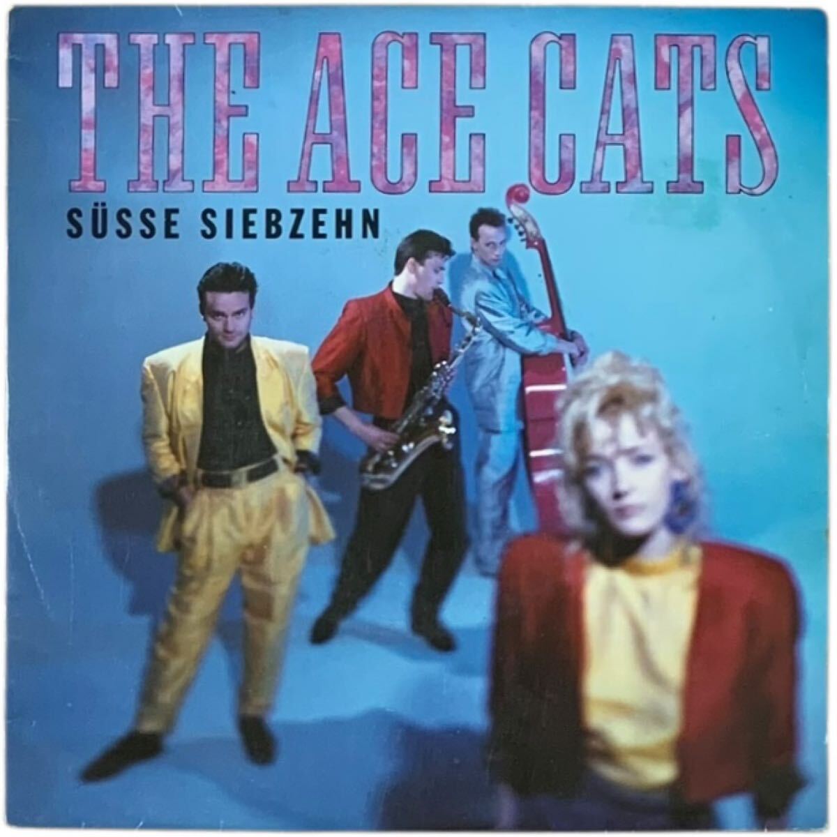 2025年最新】Yahoo!オークション -ace catsの中古品・新品・未