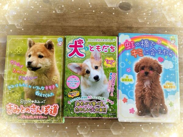 きみとのさんぽ道 犬とともだち 虹の橋でキミに会えたら 3冊 犬好きの子供にお勧めの小説と読み物 ちゃお 参考価格2450円
