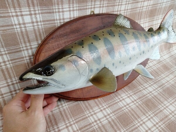 ハンドメイド 39cmヤマメ フィギュア レプリカ オブジェ 魚模型 釣り TROUT fish craft REAL