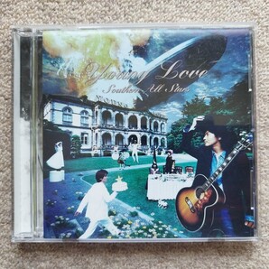 サザンオールスターズ 「Young Love 」 アルバムCD