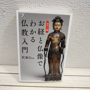 即決!送料無料! 『 カラー版 お経と仏像でわかる仏教入門 』 ◆ 監修 釈 徹宗 /