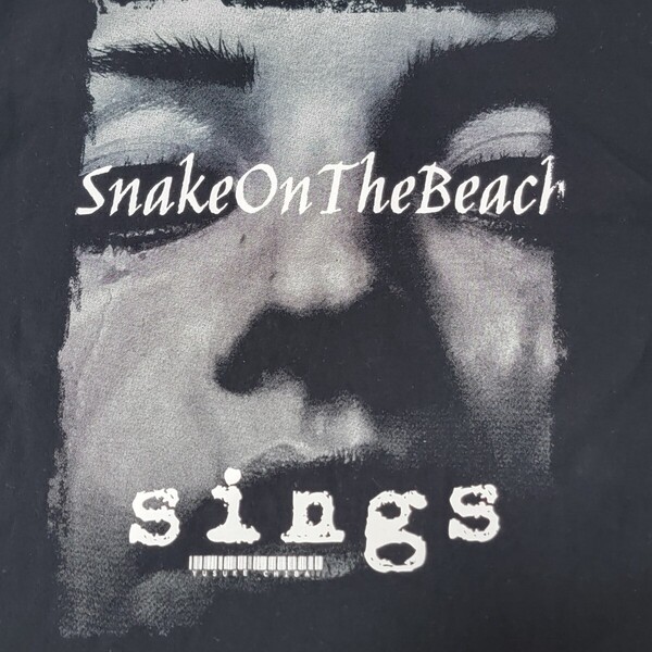 5,6oz生地 The Birthday ザ・バースディ SNAKE ON THE BEACH SINGS 京都古本屋 Fabulous チバユウスケ Tシャツ 黒 L 半袖 カットソー 両面
