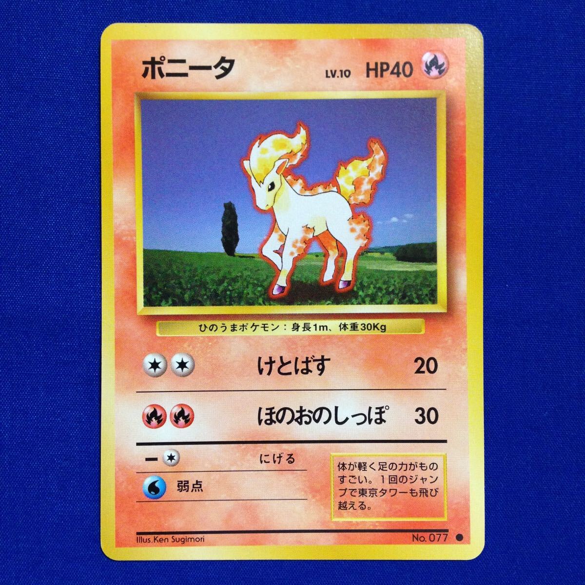 2025年最新】Yahoo!オークション -ポニータ(ポケモンカード