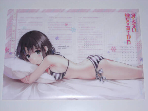 冴えない彼女の育てかた 加藤恵 書き下ろし小説付きクリアファイル ドラゴンマガジン 2018年7月号付録 【送料無料】