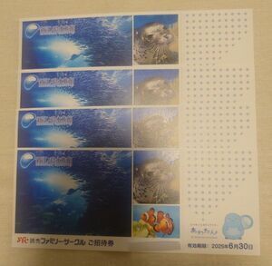 新江ノ島水族館ご招待券 4枚セット 2025年6月30日まで有効 送料無料 迅速発送