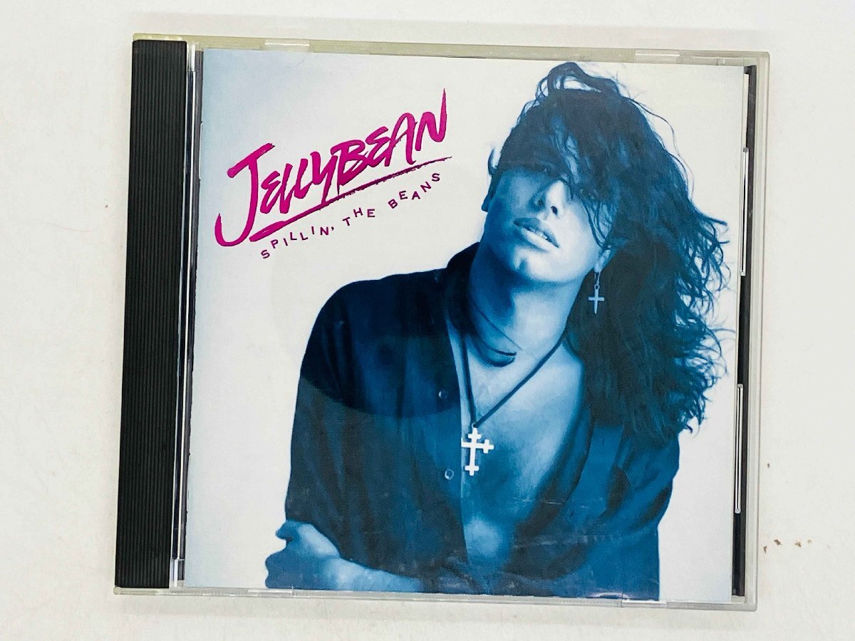 Chilli Beans  アルバムレコード新品未使用2枚組 2nd Full Album「Welcome to My Castle」｜ALBUM｜Chilli Beans