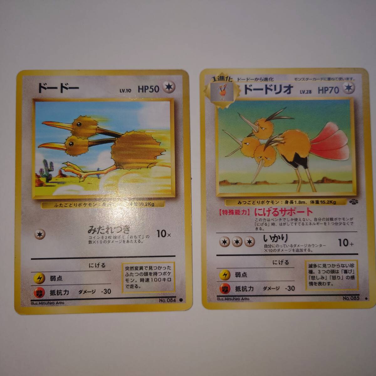 PSA10鑑定済〕ドードリオLV.25【-】{旧裏}
