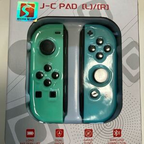 【水曜日終了】ニンテンドースイッチ ジョイコン パステルカラー グリーン ブルー