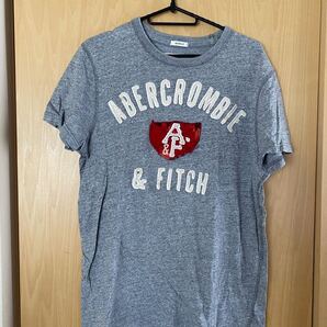 アバクロンビー&フィッチ Tシャツ M グレー