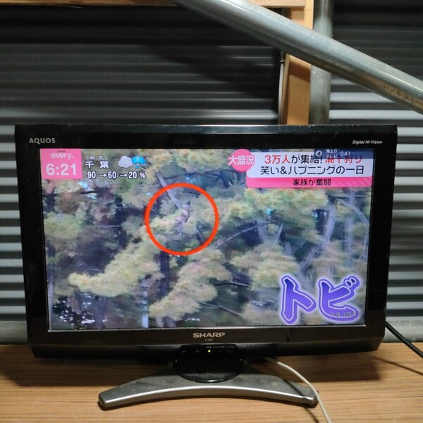 送料無料(1052)SHARP シャープ 液晶テレビ 20型 LC-20E7