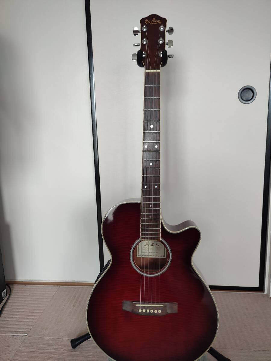 Pro Martin アコースティックギター グラデーションレッド Pro Martin アコースティックギター グラデーションレッド