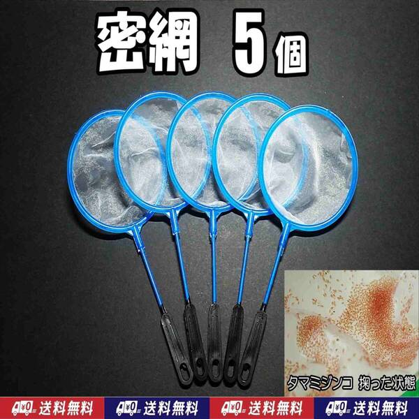 【送料込】密網SS 5本 即決 水槽 メダカ エビ シュリンプ ミジンコ用等に ネット 5個 ゾウリムシは濾せません