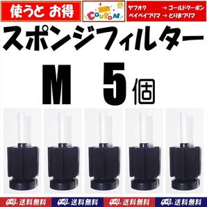 【送料無料】スポンジフィルター M 5個 XY-180 シュリンプ・金魚・メダカ水槽の濾過用に 内径4mmのエアーチューブで接続可