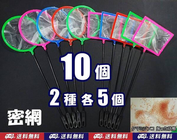 【送料込】密網 10個(丸5個・角5個) 水槽用品 即決 ミジンコ メダカ針子 シュリンプ等用に ゾウリムシは掬えません ネット 10本