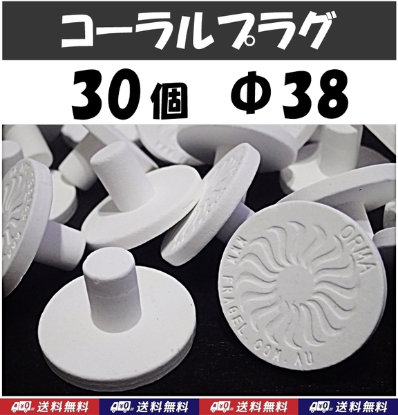 【送料無料】コーラルプラグ 30個 直径38mm T型 Φ38 コーラルフラッグ 海水魚 珊瑚 育成水槽に サンゴ プラグ セラミック