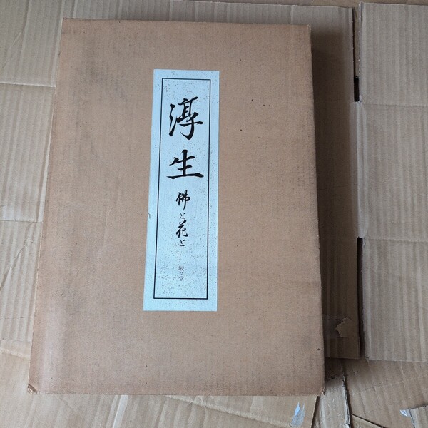 三井淳生 日本画作品集(佛と花と)限定 駸々堂出版