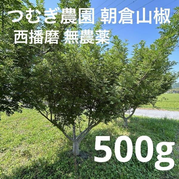送料無料 西播磨 朝倉山椒 実 無農薬 アサクラサンショウ 農家直送 つむぎ農園 500g