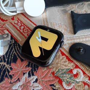 アルミ44mm アップルウォッチ シリーズ5 GPS Apple Watch HTH11