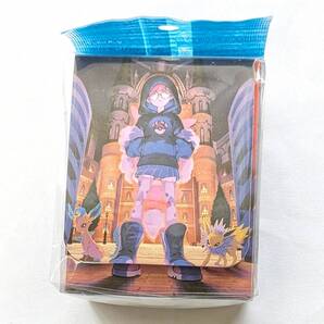 【新品未開封・匿名配送】 カシオペア デッキケース サプライ ポケモンカード