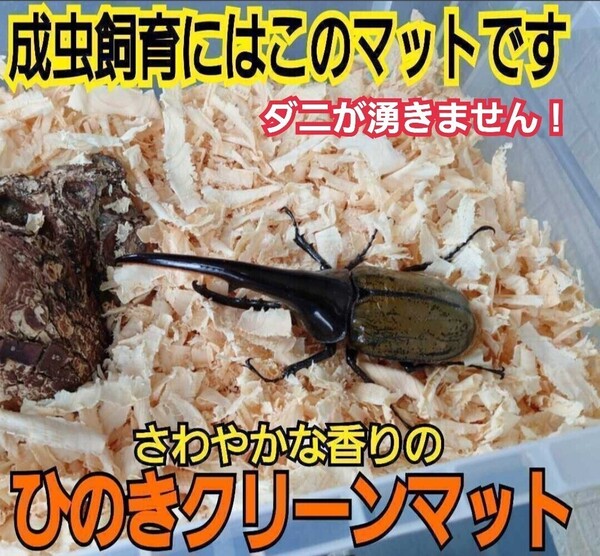 クワガタ・カブトムシの成虫管理に!爽やかな香り 針葉樹マット ケース内が明るくなり生体が目立ちかっこよく見える! ダニが湧きません
