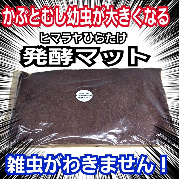 カブトムシ幼虫が大きくなります! 国産88ミリ羽化実績 ヒマラヤひらたけ発酵マット クヌギ100%原料 コバエ、雑虫がわかない!産卵にも