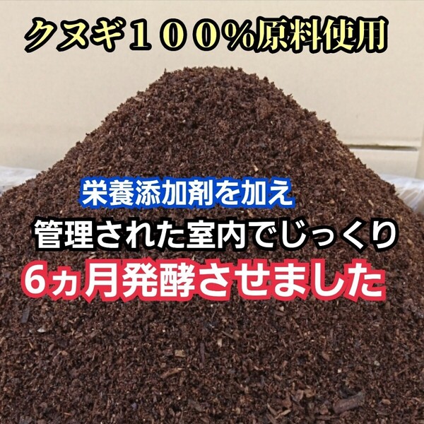 カブトムシ幼虫が大きくなります! 国産88ミリ羽化実績 ヒマラヤひらたけ発酵マット クヌギ100%原料 コバエ、雑虫がわかない!産卵にも