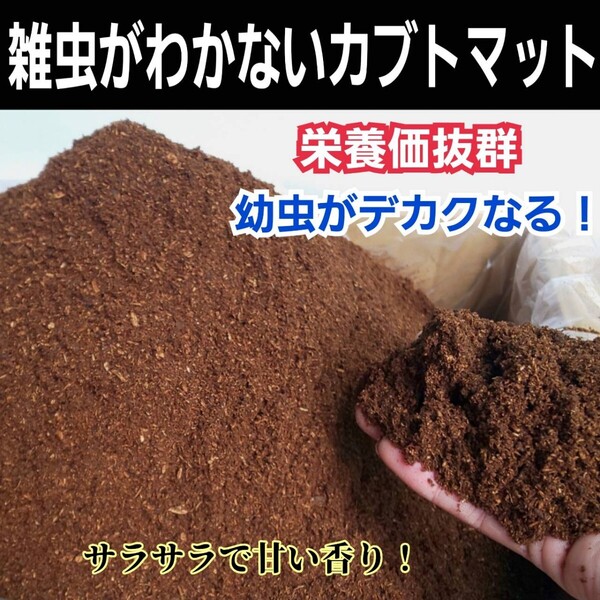 カブトムシ幼虫が大きくなります! 国産88ミリ羽化実績!ヒマラヤひらたけ発酵マット クヌギ100%原料 コバエ、雑虫がわかない!産卵にも