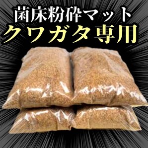 菌床粉砕クワガタマット ボトルやカップに詰めるだけ! 菌糸の甘い香り!菌糸瓶よりコスパ良い! クワガタ幼虫の土 クワガタ幼虫の餌