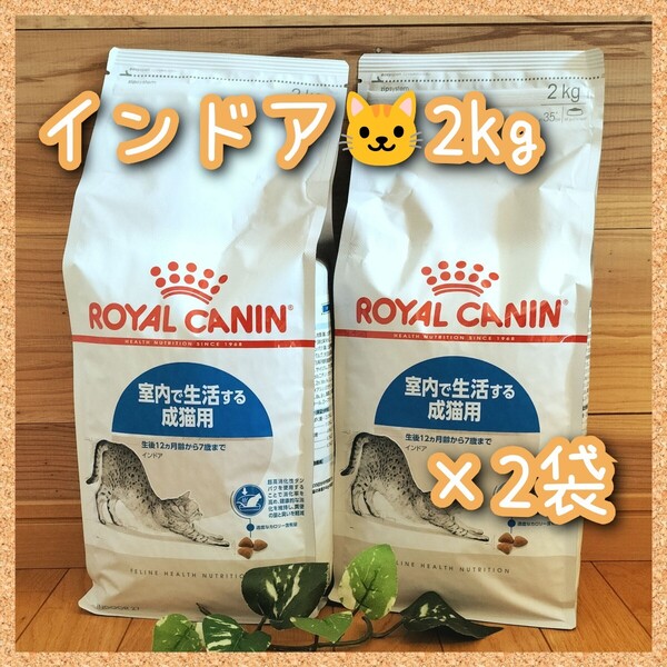 ロイヤルカナン インドア 室内で生活する成猫用~7歳まで 2kg×2袋